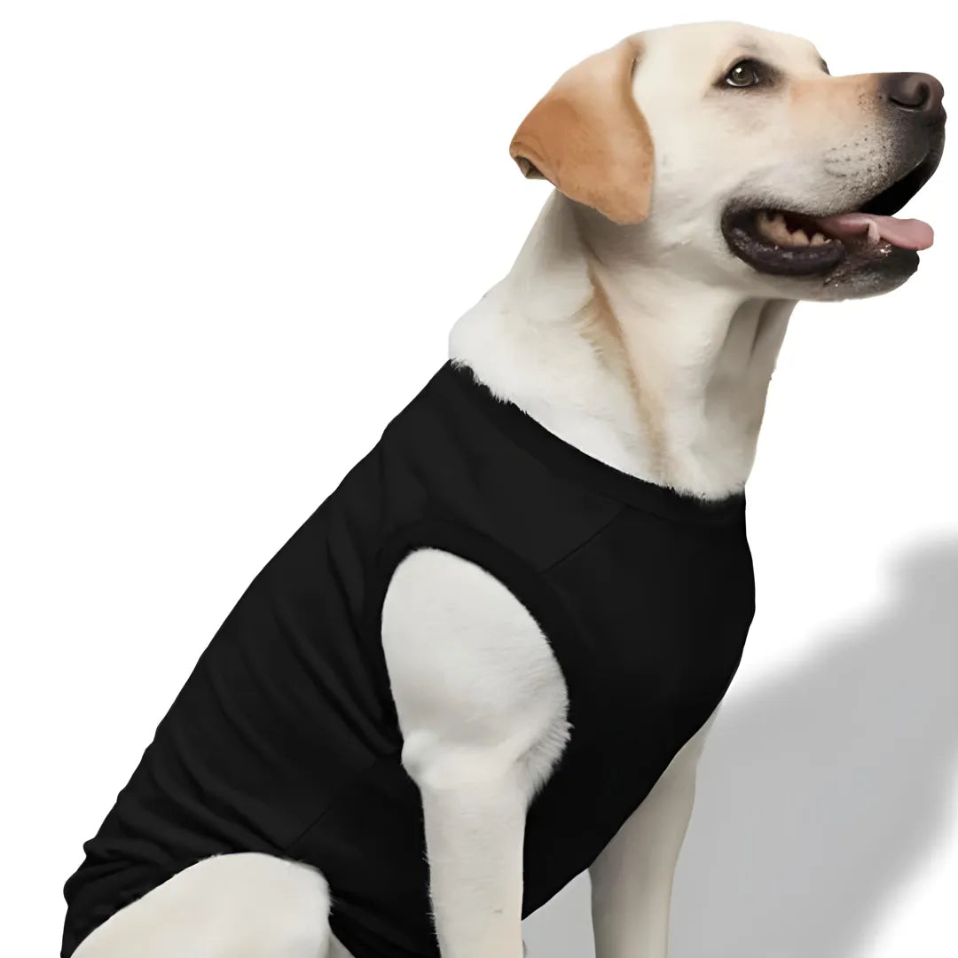 Dogs T-Shirt