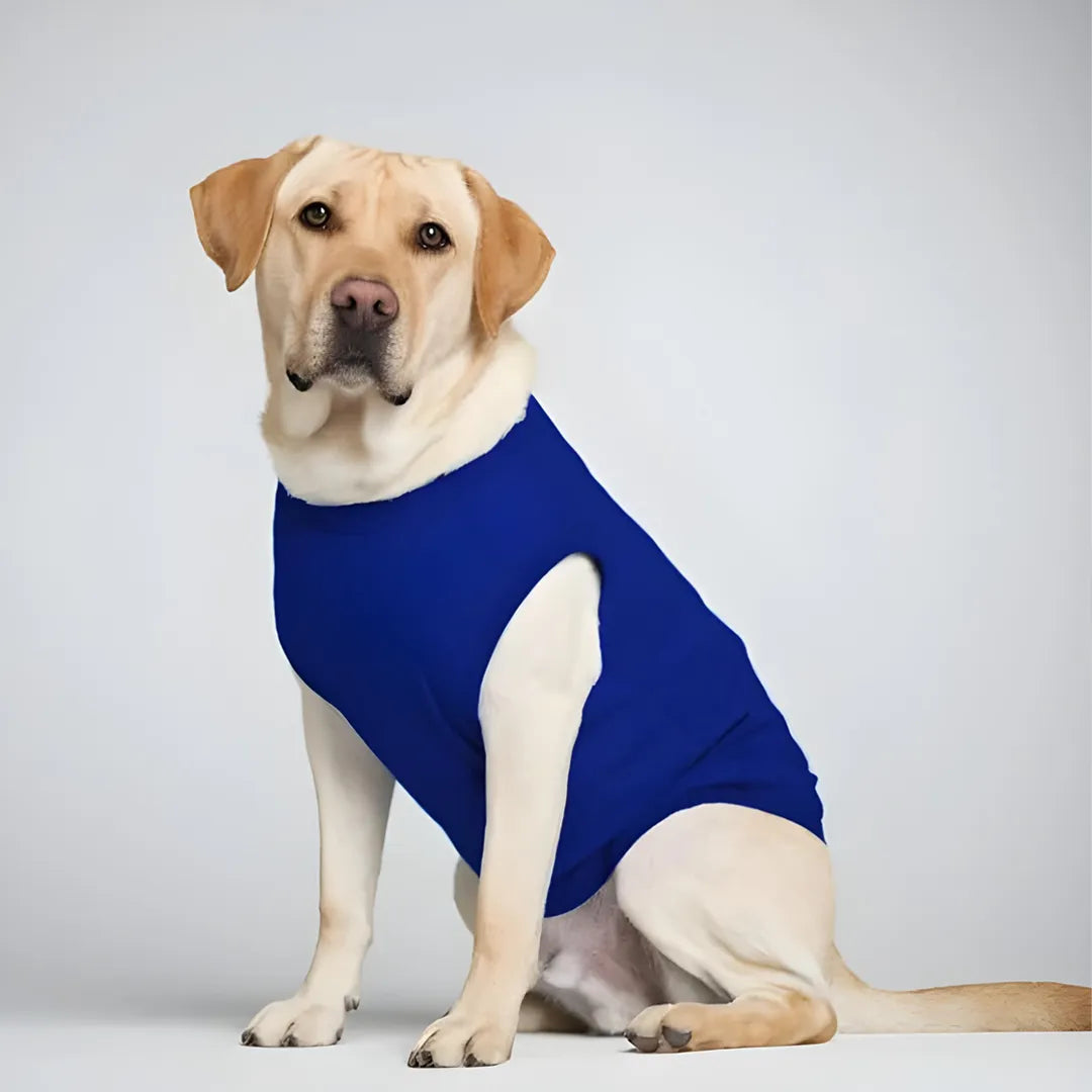 Dogs T-Shirt