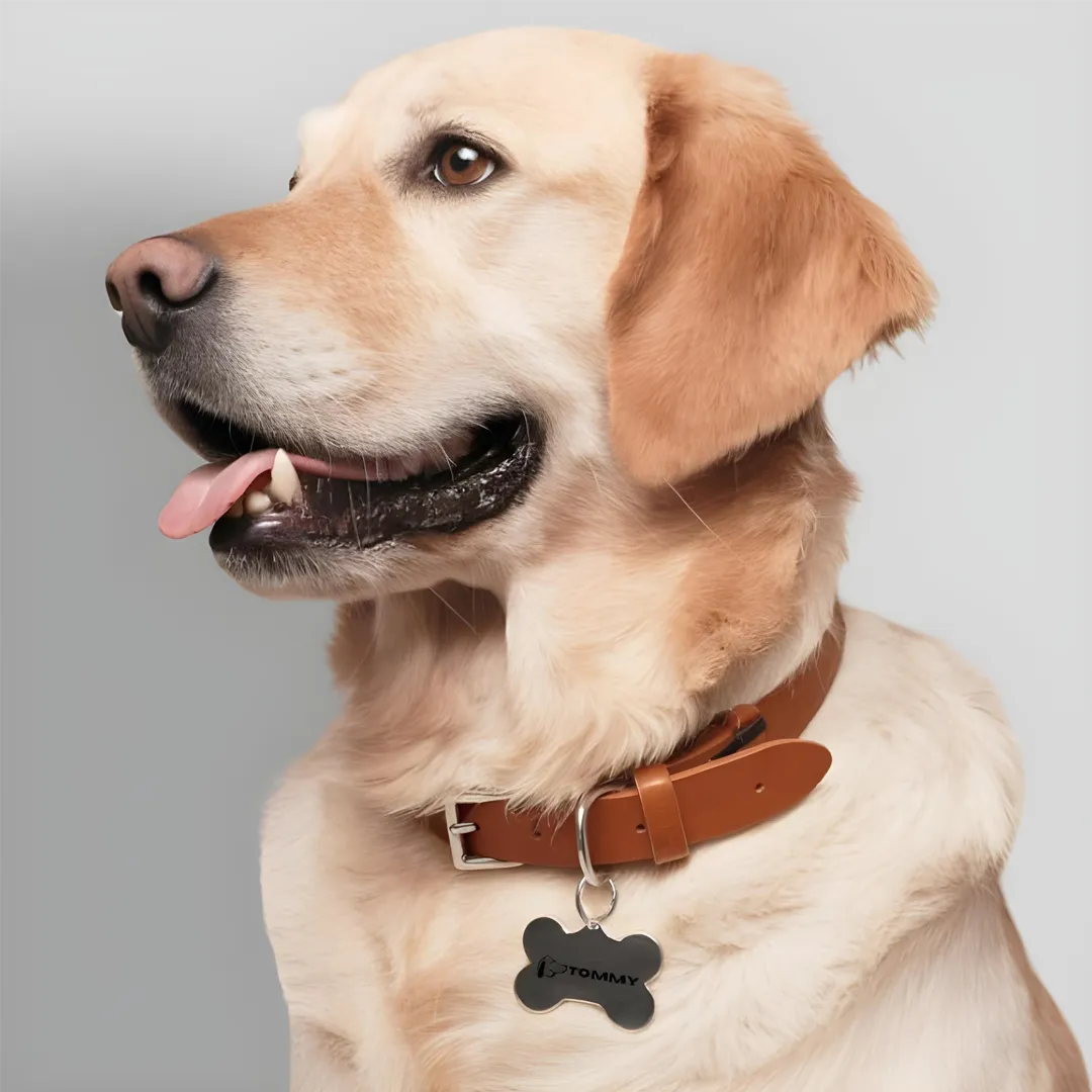 Pets Tag