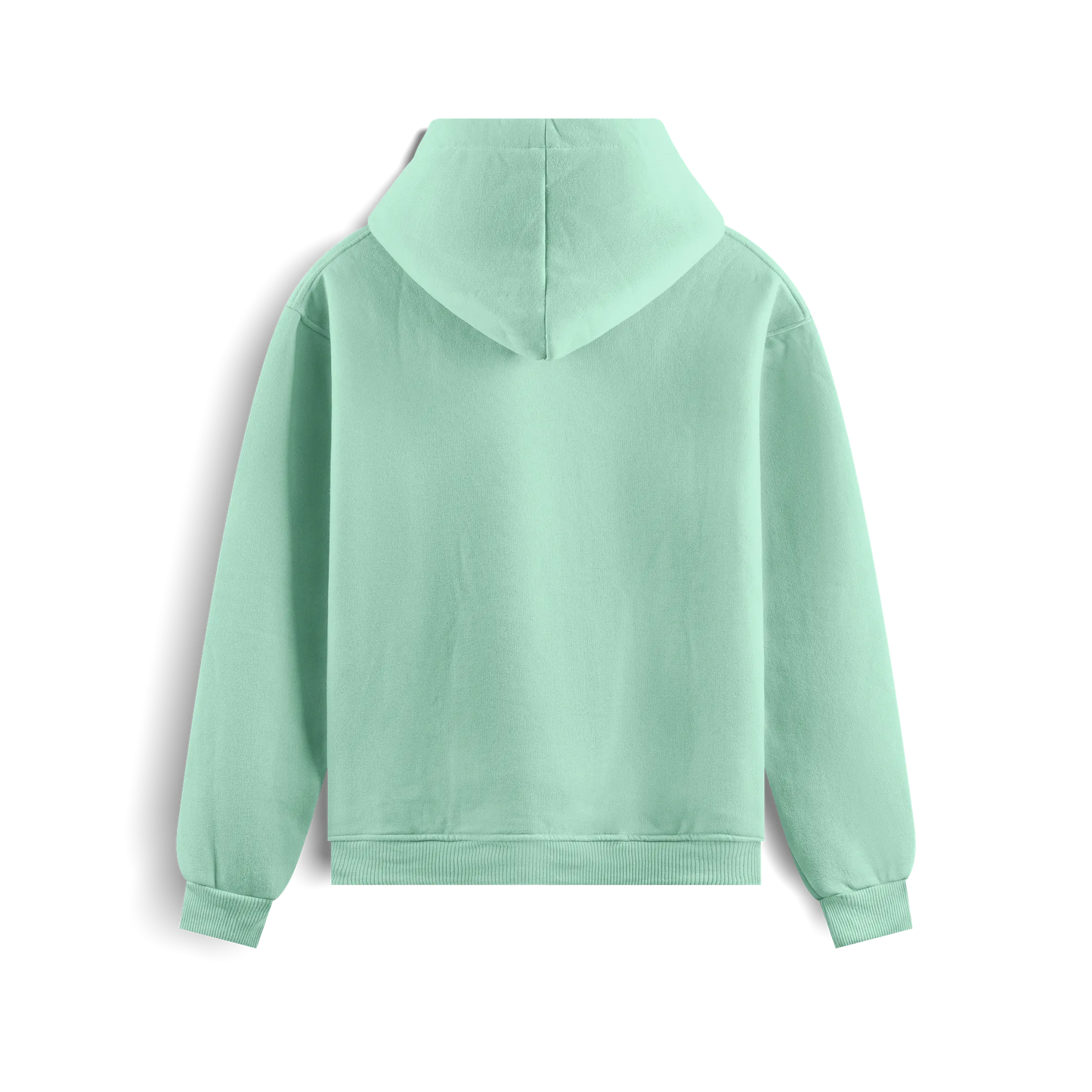 Mint - Hoodie - Solid