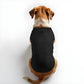 Dogs T-Shirt