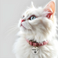 Pets Tag