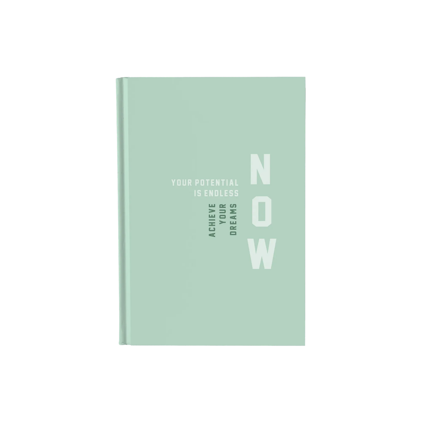 Your Potential Is Endless Now - Daily Planner / Notebook