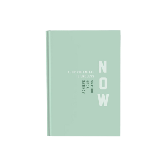 Your Potential Is Endless Now - Daily Planner / Notebook